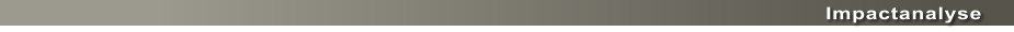 Impactanalyse